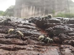-崀山风景名胜区