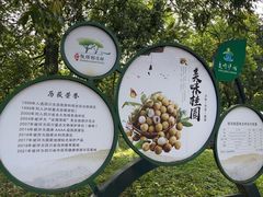 -张坝桂圆林公园