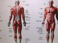 -通透堂中医·精准推拿(旗舰店)