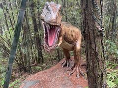 -森波拉奇妙世界