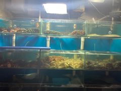 水产区-名超海鲜烧烤大排档