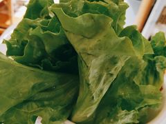 生菜-海银海记潮汕牛肉火锅(新港中路海珠店)