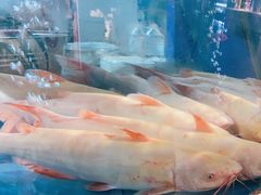 -蜀滋香鲜鱼美蛙火锅(339店)