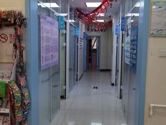 -全心全意连锁动物医院·微创中心·内科急重症·心脏专科(丰管路店)