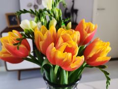 -循礼门鲜花花市(武汉循礼门店)