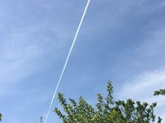 -VESH COFFEE(定西路店)