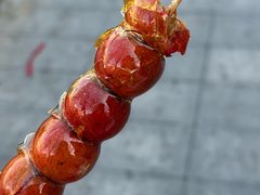 -和禄德冰糖葫芦