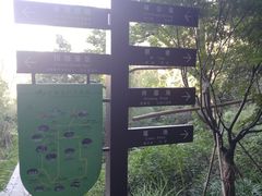 -镇江市南山风景名胜区竹林景区