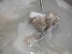 -大家乐蠄蚷王(荔福路店)