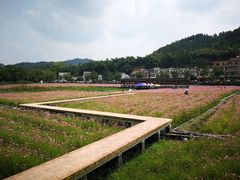 -红山村
