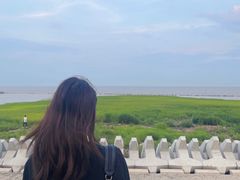 -南汇嘴观海公园