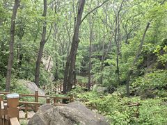 -大岭沟猕猴桃谷风景区