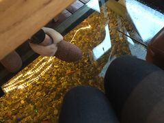 -颐和•海鲜砂锅粥•啫啫煲(奥林匹克广场店)