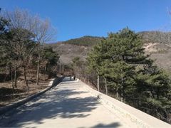 -北京西山国家森林公园