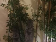 -蠔友汇(皇姑店)