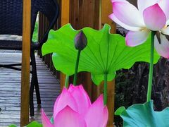 -仙居谷风景区