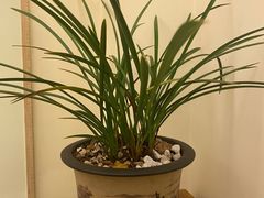 -荣家小吃(紫阳街店)