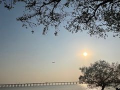 -宝安西湾红树林湿地公园