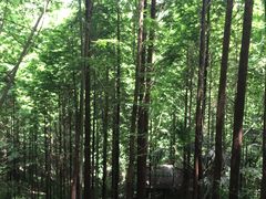 -凤栖山