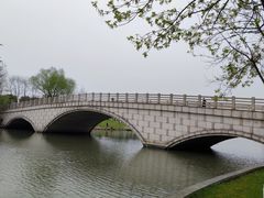 -九里河湿地公园