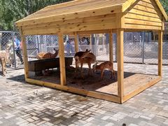 -长白岛森林公园