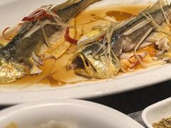 -1937青岛老味道·海肠捞饭·青岛菜(大鲍岛栈桥店)