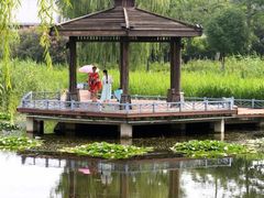 景点-梁鸿国家湿地公园