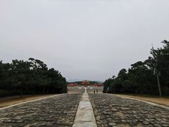 -清西陵