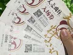 -芙蓉国粹·川剧秀