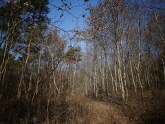 -南京金牛湖风景区