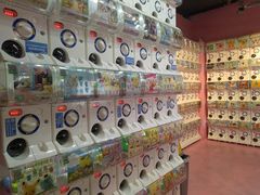 -蛋库(朝阳大悦城店)