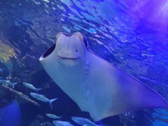 -华夏文旅海洋公园