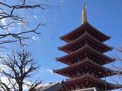 -一兰拉面(新宿中央东口店)