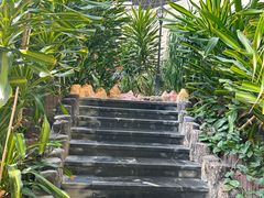 -青岛海泉湾皇冠假日度假酒店