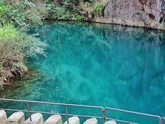 -大奇山国家森林公园