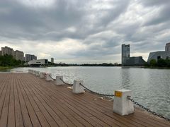 -金沙湖公园
