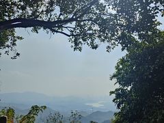 -阳台山森林公园