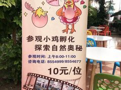 -兴芮温泉度假区