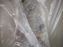 -殷姐糯米包油条
