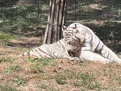 -秦皇岛野生动物园