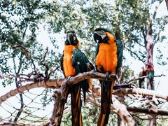 -北京野生动物园