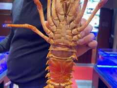 -顺风海鲜港(金玉兰店)