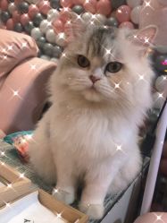 点击看大图 -Beauty Nails 美甲美睫皮肤管理