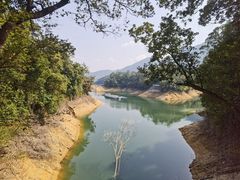 -广州市流溪河国家森林公园