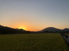 -艾米稻香小镇