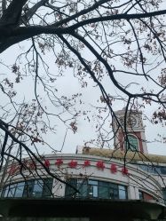 -复旦大学附属妇产科医院(杨浦院区)