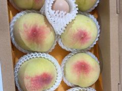 -老袁家蜜桃农场·阳山水蜜桃