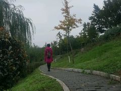 -西安汉城湖景区