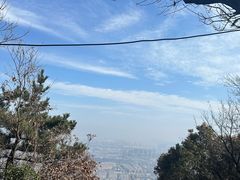 -惠山国家森林公园