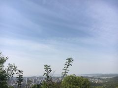 -惠山国家森林公园